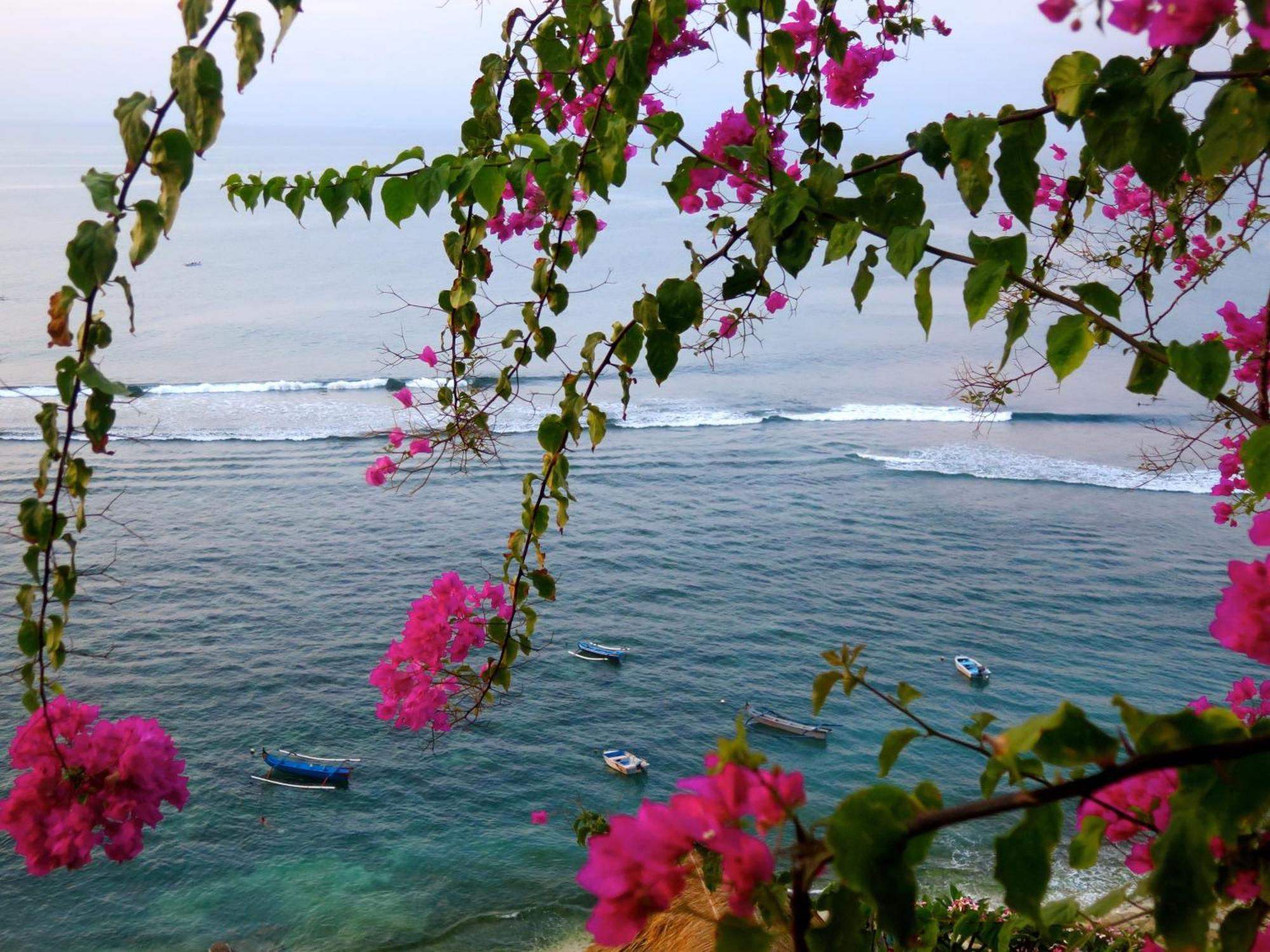 Acacia Bungalows Bingin Uluwatu Zewnętrze zdjęcie